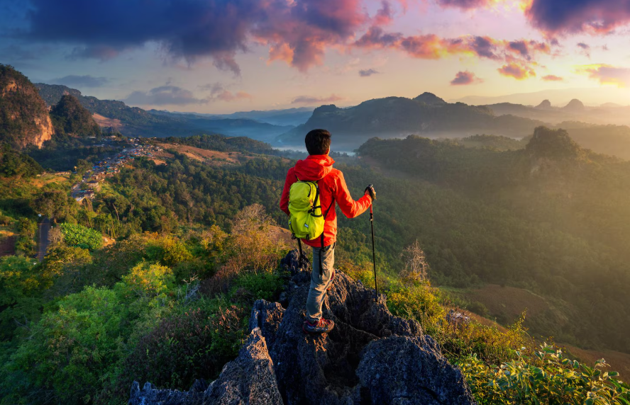 The Joy of Hiking in Nature