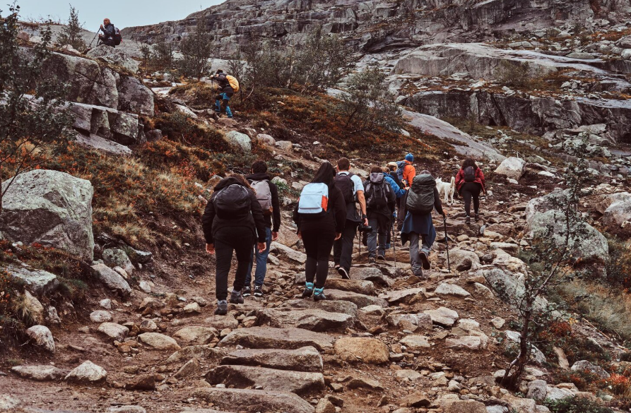 The Joy of Trekking Through Nature